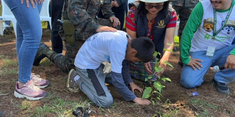 Chimaltenango fortalece áreas verdes con jornada de reforestación