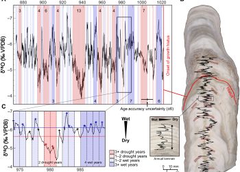 El estudio de las estalagmitas determinó el impacto de las sequías en la sociedad maya. / Foto: ScienceAdvances y Universidad de Cambridge.