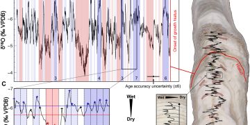 El estudio de las estalagmitas determinó el impacto de las sequías en la sociedad maya. / Foto: ScienceAdvances y Universidad de Cambridge.