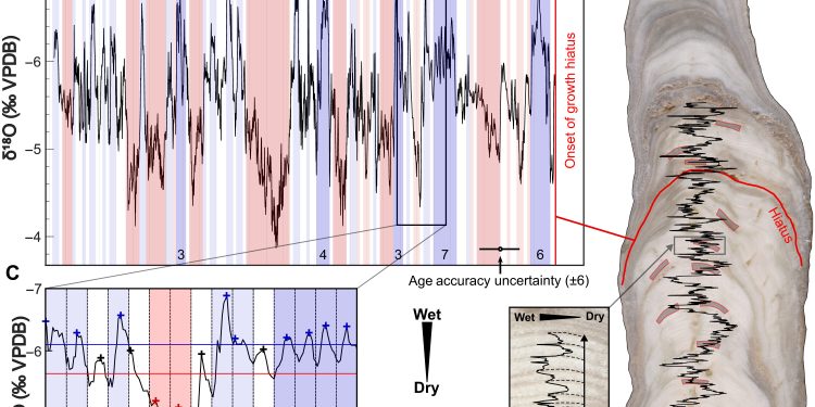 El estudio de las estalagmitas determinó el impacto de las sequías en la sociedad maya. / Foto: ScienceAdvances y Universidad de Cambridge.