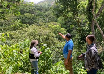 Incentivos forestales en Zacapa garantizan más bosques y desarrollo local