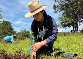 Instituciones y comunidad se unen a la jornada de reforestación en el área rural de Malacatancito