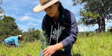 Instituciones y comunidad se unen a la jornada de reforestación en el área rural de Malacatancito