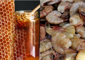 El MAGA prohíbe el uso de antimicrobianos en la producción de camarón y miel para exportación a la Unión Europea.