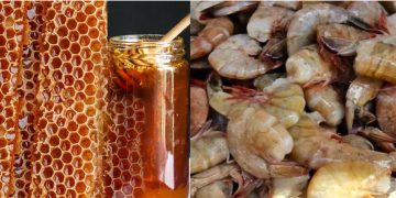 El MAGA prohíbe el uso de antimicrobianos en la producción de camarón y miel para exportación a la Unión Europea.