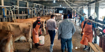 Además de las inspecciones, la Dirección de Inocuidad ofrece acompañamiento técnico a productores en diferentes regiones del país. / Foto: MAGA