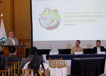 El Congreso Nacional de Diversidad Biológica y Áreas Protegidas abordará la gestión sostenible del patrimonio natural del país. (Foto: Gilber García)
