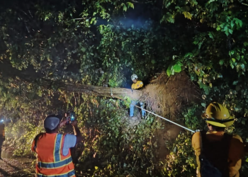Conred ha atendido más de mil emergencias por las lluvias. (Foto: Conred)