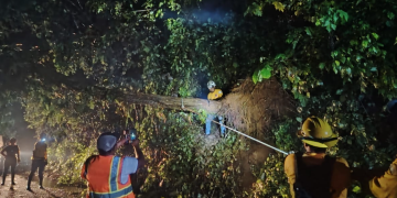 Conred ha atendido más de mil emergencias por las lluvias. (Foto: Conred)