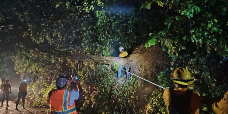 Conred ha atendido más de mil emergencias por las lluvias. (Foto: Conred)