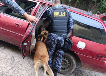 Unidad Élite K-9 del Sistema Penitenciario realiza inspecciones a vehículos y encomiendas. / Foto: Sistema Penitenciario