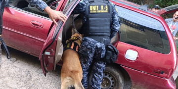 Unidad Élite K-9 del Sistema Penitenciario realiza inspecciones a vehículos y encomiendas. / Foto: Sistema Penitenciario