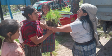 La entrega de 10 mil plantas forestales representa un paso significativo en los esfuerzos por restaurar la cuenca del río Cuilco. / Foto: MAGA.