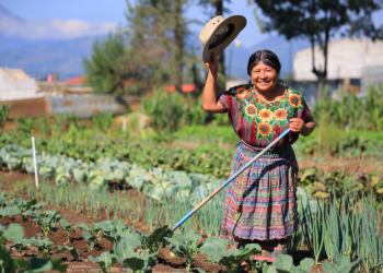 Día Mundial de la Agricultura. El compromiso de los agricultores permite mantener viva una tradición que, con esfuerzo diario, garantiza alimentos para millones de personas. / Foto: MAGA