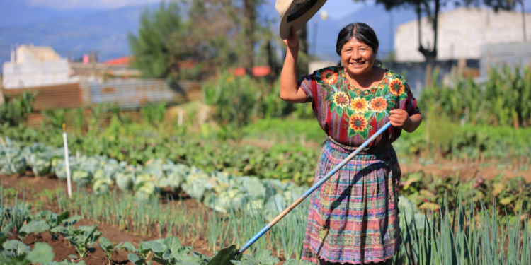 Día Mundial de la Agricultura. El compromiso de los agricultores permite mantener viva una tradición que, con esfuerzo diario, garantiza alimentos para millones de personas. / Foto: MAGA