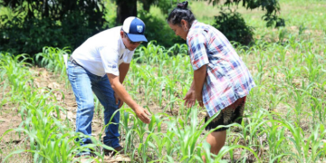 Gracias a esta herramienta financiera, los pequeños y medianos productores pueden enfrentar los desafíos climáticos. / Foto: MAGA.