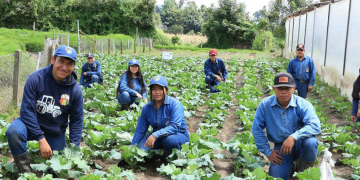 El MAGA dispone actualmente de cuatro escuelas de formación agrícola. / Foto: MAGA.