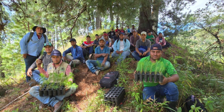 Conap rinde homenaje a los guardarrecursos en su día, destacando su valioso aporte a la conservación de la naturaleza. (Foto: Conap)