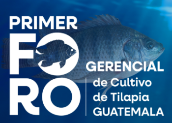 Guatemala, sede del 1.er Foro Gerencial de Cultivo de Tilapia a nivel regional