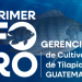 Guatemala, sede del 1.er Foro Gerencial de Cultivo de Tilapia a nivel regional