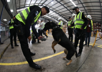 En Guatemala, la incorporación de nuevos perros K-9 representa también un respaldo a las acciones que buscan desarticular redes de narcotráfico. / Foto: Mingob.