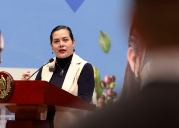 Ministra María Fernanda Rivera apuntó a los beneficios del Crédito Tob'anik. / Foto: SCSP.