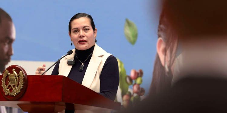 Ministra María Fernanda Rivera apuntó a los beneficios del Crédito Tob'anik. / Foto: SCSP.