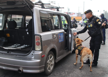 Las acciones fueron dirigidas por agentes de la Comisaría 14, en coordinación con unidades especializadas y el apoyo de binomios K-9. / Foto: PNC