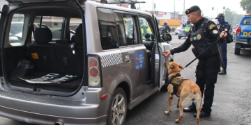Las acciones fueron dirigidas por agentes de la Comisaría 14, en coordinación con unidades especializadas y el apoyo de binomios K-9. / Foto: PNC