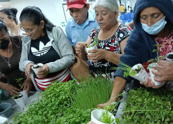 MAGA capacita a adultos mayores en la creación de huertos familiares