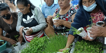 MAGA capacita a adultos mayores en la creación de huertos familiares