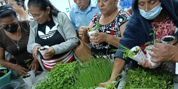 MAGA capacita a adultos mayores en la creación de huertos familiares