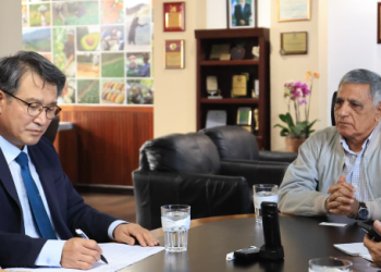 Durante el encuentro, los participantes analizaron estrategias orientadas a la investigación y producción de cultivos estratégicos. / Foto: MAGA