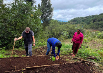 El MAGA destacó que cada semilla entregada en el marco de Mano a Mano representa una oportunidad para fomentar la autosuficiencia alimentaria. / Foto: MAGA