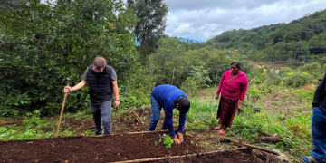 El MAGA destacó que cada semilla entregada en el marco de Mano a Mano representa una oportunidad para fomentar la autosuficiencia alimentaria. / Foto: MAGA