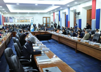 Durante la sesión también se presentó el Plan de Lucha contra la Malnutrición 2025-2028. / Foto: MAGA