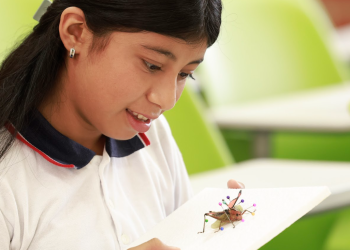 Jutiapa ya cuenta con Clubes de Ciencias, promovidos por la Senacyt y la vicepresidencia. (Foto: Dickens Zamora)