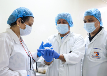 Científicos guatemaltecos trabajan en el desarrollo y producción de suero antiofídico a partir de las principales especies de serpientes en Guatemala. (Foto: Senacyt)