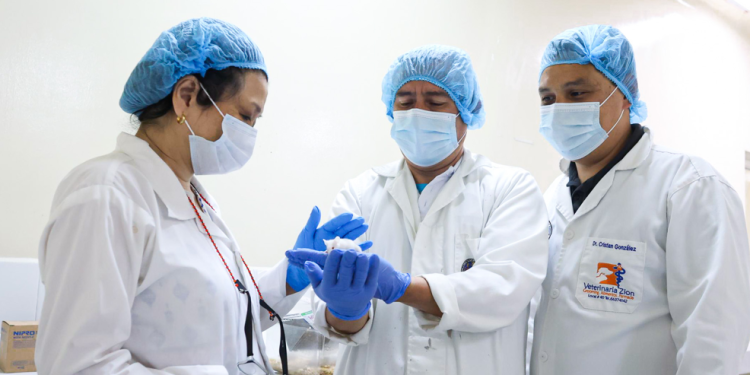 Científicos guatemaltecos trabajan en el desarrollo y producción de suero antiofídico a partir de las principales especies de serpientes en Guatemala. (Foto: Senacyt)