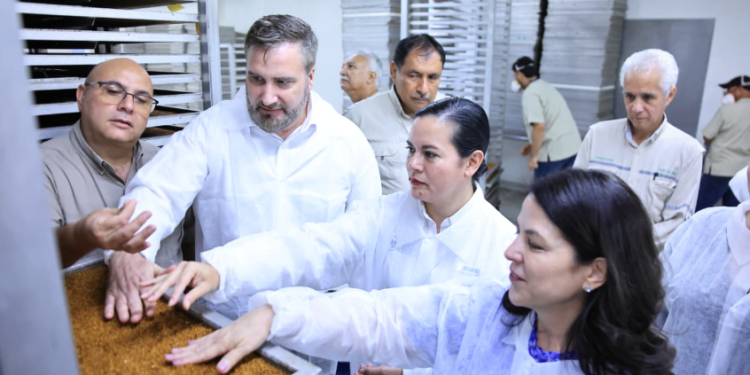 Esta instalación es clave en la lucha contra la mosca del Mediterráneo, una de las plagas que más amenaza la agricultura y la seguridad alimentaria. / Foto: MAGA