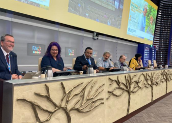 Otro de los puntos sobresalientes fue la presentación de las plataformas de innovación ASIS y GADAS, herramientas digitales que apoyan la toma de decisiones estratégicas en el campo. / Foto: MAGA