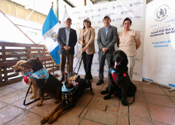 Ministerio de Salud lanza Campaña Nacional de Vacunación Antirrábica Canina. (Foto: MSPAS)