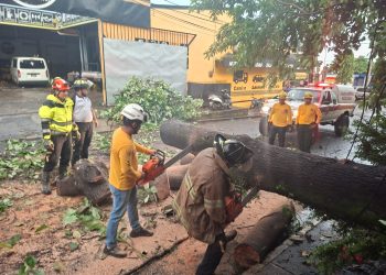 Conred ha atendió 875 emergencias por lluvias durante septiembre