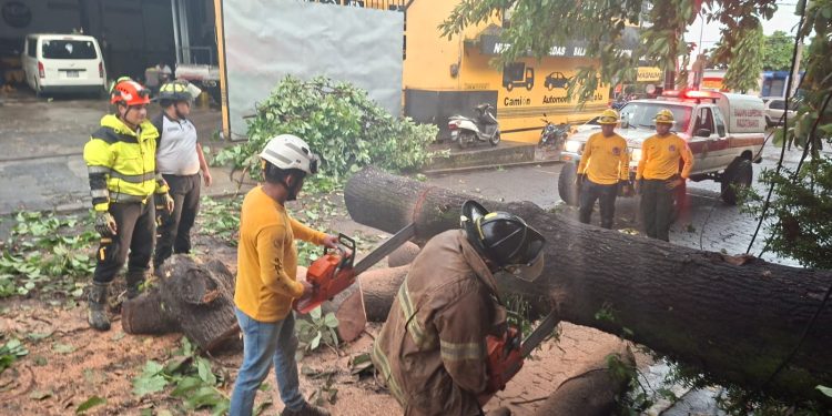 Conred ha atendió 875 emergencias por lluvias durante septiembre