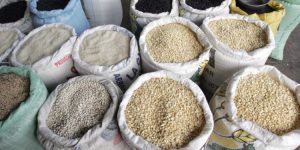 El Mineco amplía en 30 mil toneladas métricas el contingente de maíz blanco para la importanción con arancel 0.