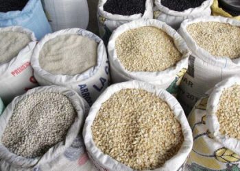 El Mineco amplía en 30 mil toneladas métricas el contingente de maíz blanco para la importanción con arancel 0.