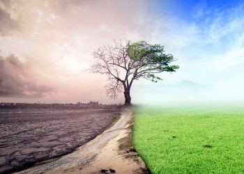 El informe aboga por un cambio urgente en los sistemas de producción y consumo, descarbonizando la economía para reducir los efectos del cambio climático.