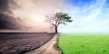 El informe aboga por un cambio urgente en los sistemas de producción y consumo, descarbonizando la economía para reducir los efectos del cambio climático.