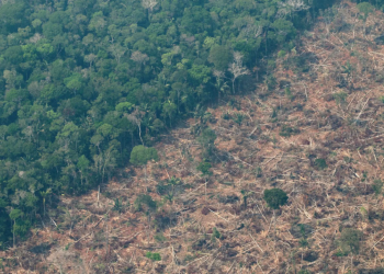 Detectan impacto en las lluvias por la deforestación en la Amazonía. / Foto: EFE.