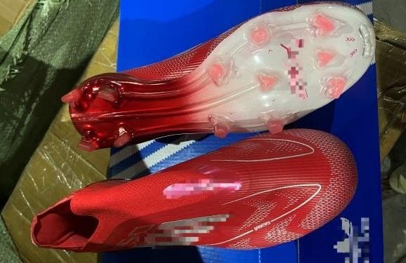 Decomisan cargamento de zapatos deportivos. / Foto: SAT.